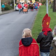 Foto’s intocht Sinterklaas 2015