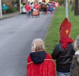 Foto’s intocht Sinterklaas 2015