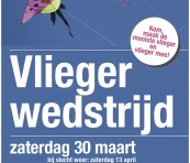 Vlieger wedstrijd