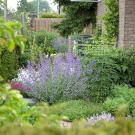 26 juni Verkiezing mooiste en groenste voortuin van Tuindorp 2021